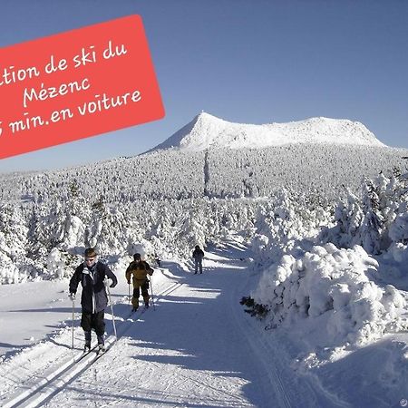 Au Lion D'Or Le Puy-en-Velay Exterior foto